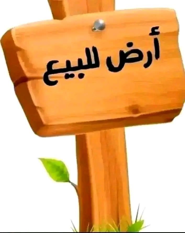 صورة الإعلان